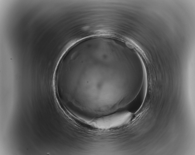 X0000097871291200803211307