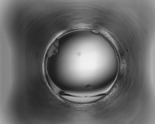X0000097871293200803211307