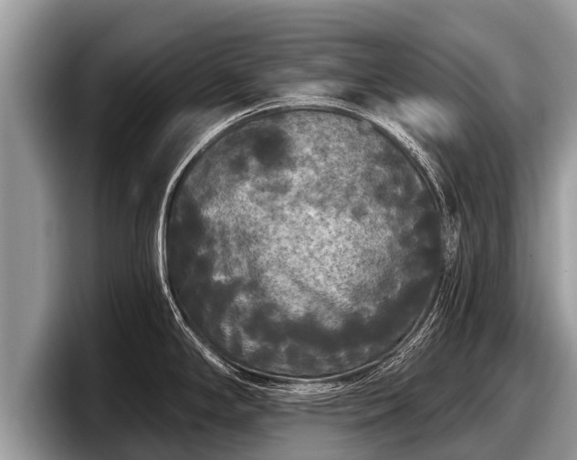 X0000097871294200803211307