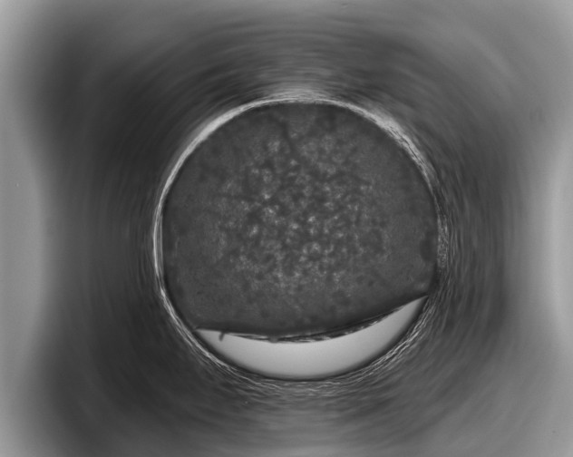 X0000097871295200803211307