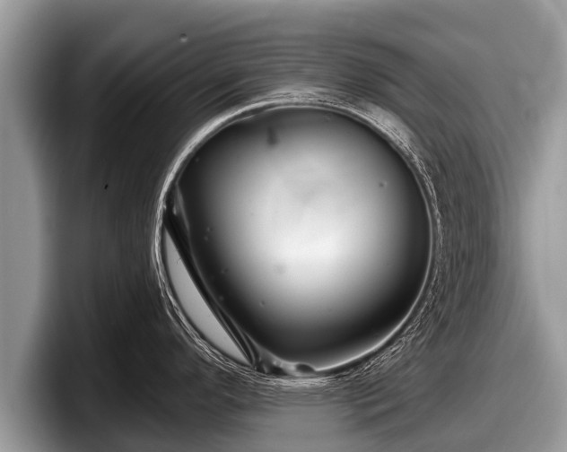 X0000097871296200803211307