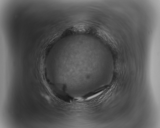 X0000097871297200803211306