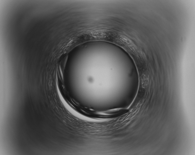 X0000097871298200803211306