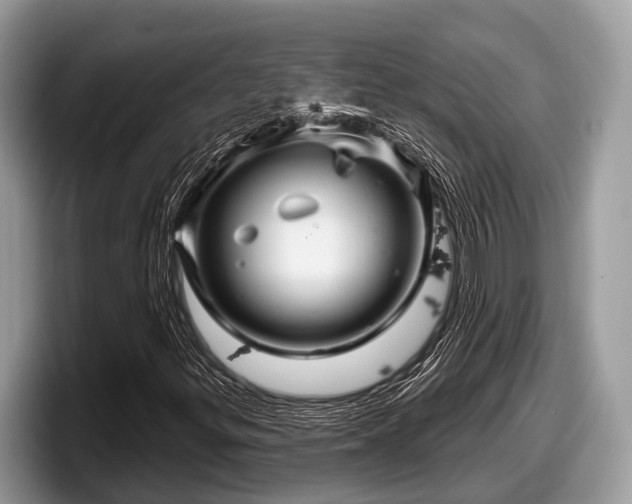 X0000097871299200803211306