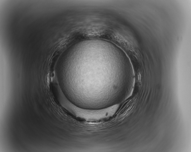 X0000097871300200803211306