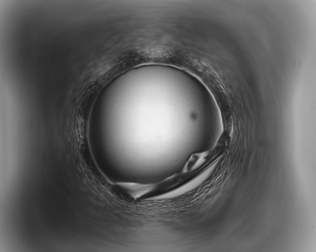 X0000097871301200803211306