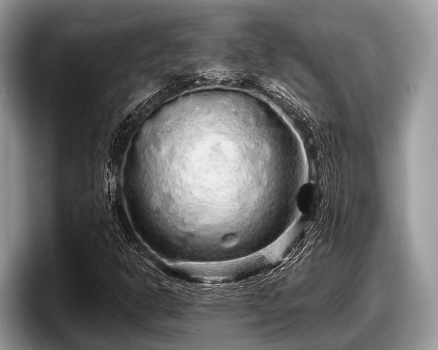 X0000097871302200803211306