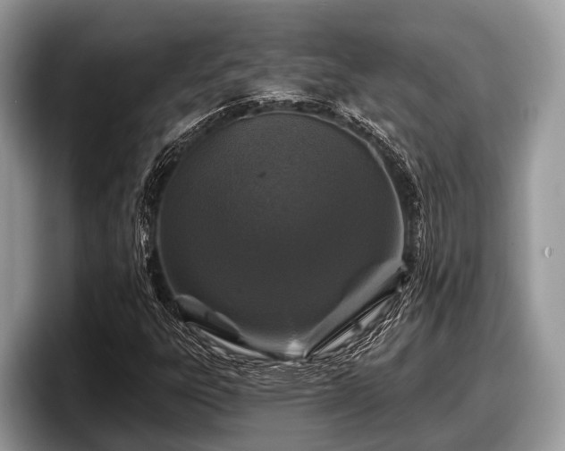 X0000097871303200803211306