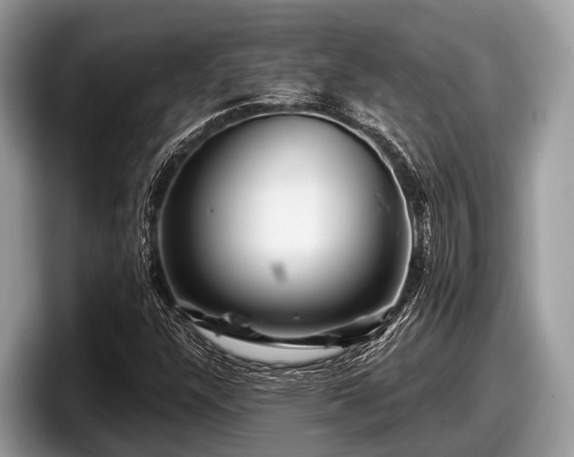 X0000097871304200803211306