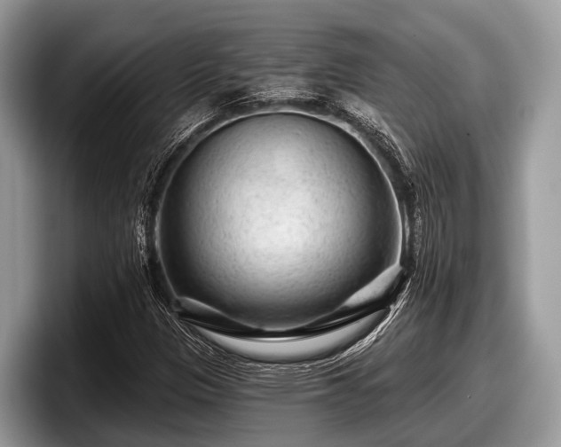 X0000097871305200803211306