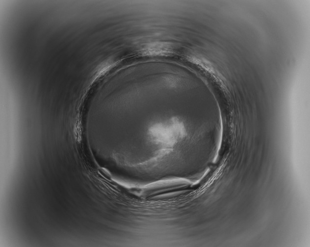 X0000097871306200803211306