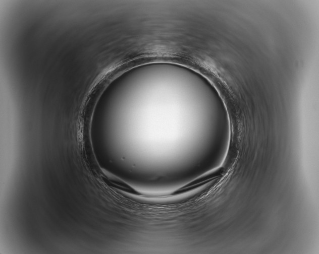 X0000097871307200803211306