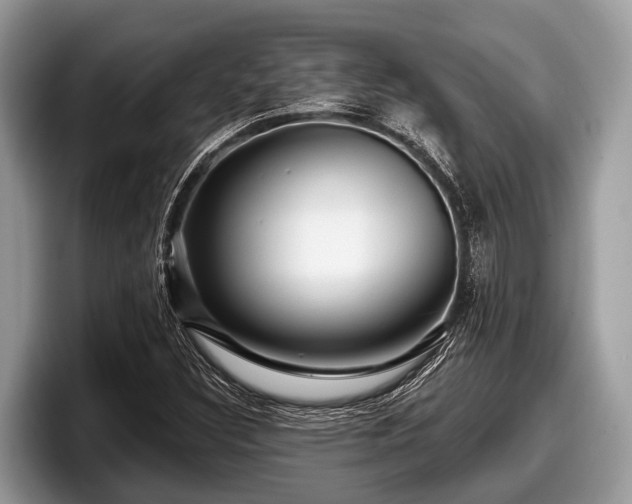 X0000097871308200803211306