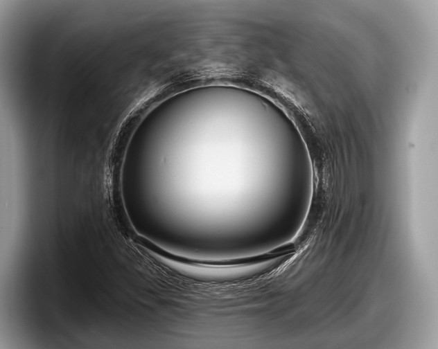 X0000097871309200803211306
