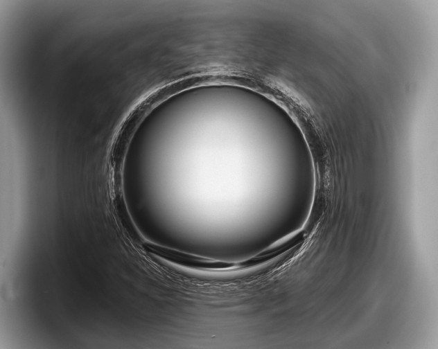 X0000097871310200803211306