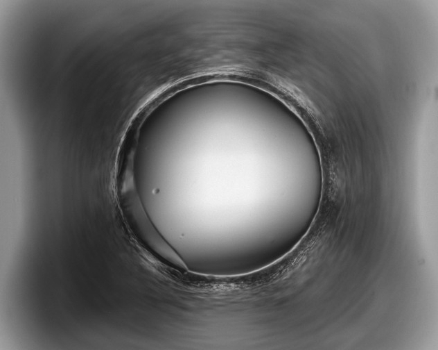 X0000097871316200803211306