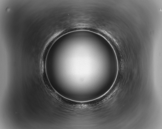 X0000097871317200803211306