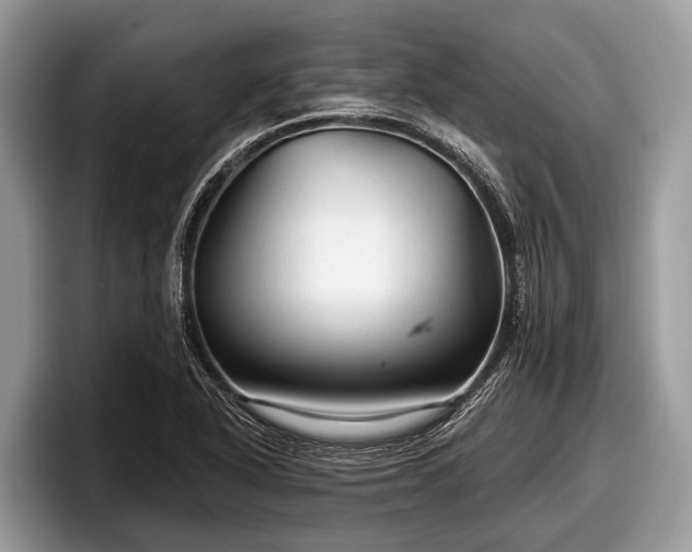 X0000097871318200803211306