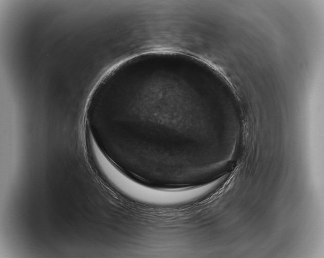 X0000097871319200803211306