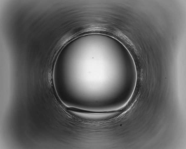 X0000097871321200803211306
