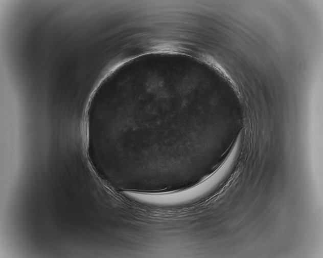 X0000097871323200803211306