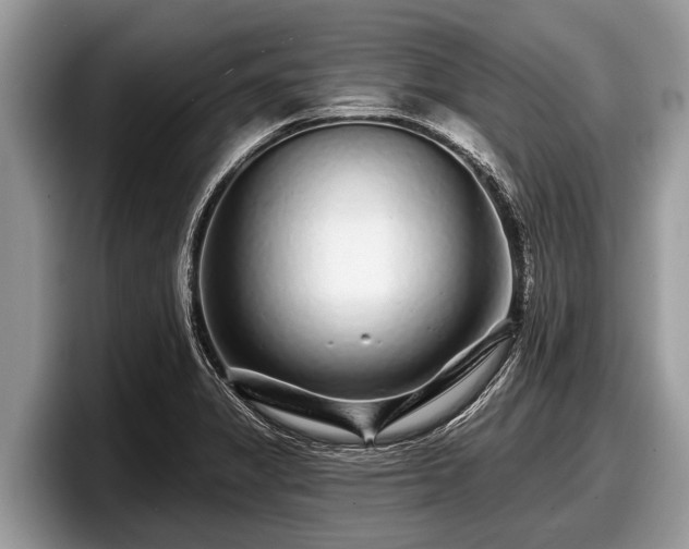 X0000097871325200803211306