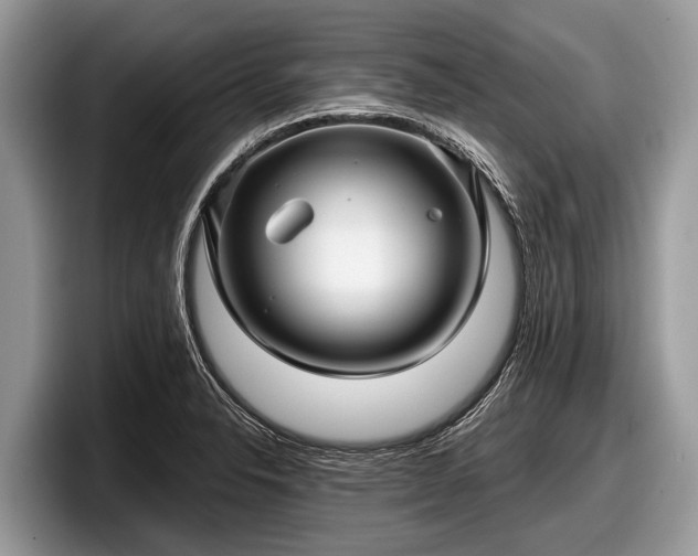 X0000097871326200803211306