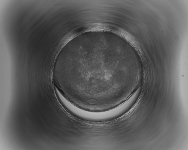 X0000097871329200803211306
