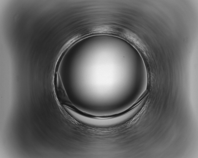 X0000097871330200803211306