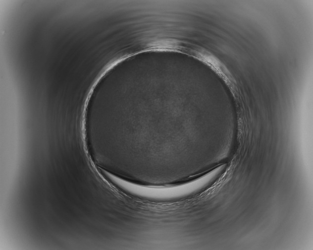 X0000097871331200803211306