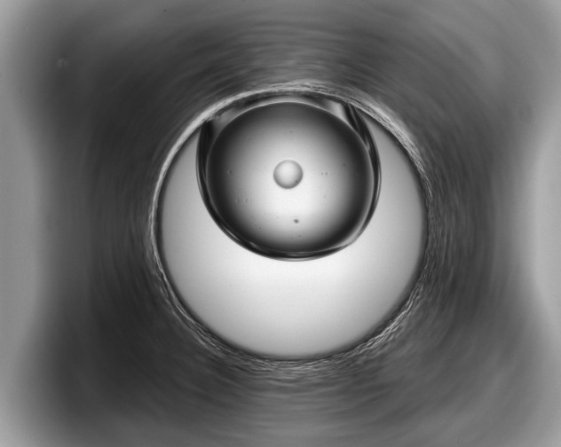X0000097871332200803211306