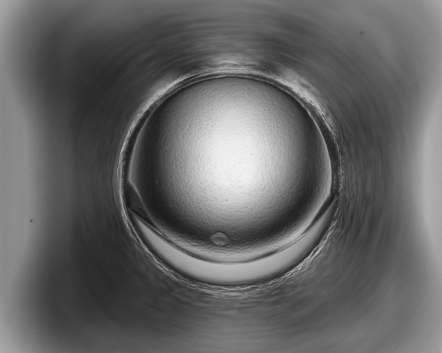 X0000097871333200803211306