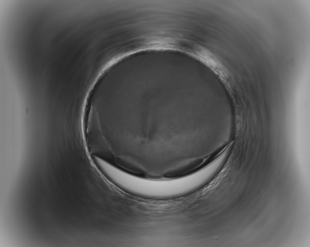 X0000097871334200803211306