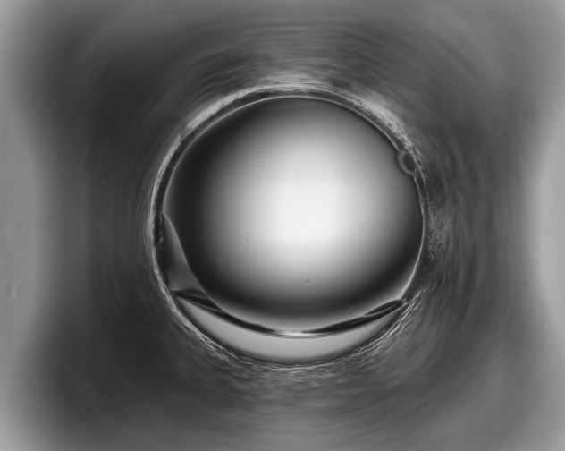 X0000097871335200803211306