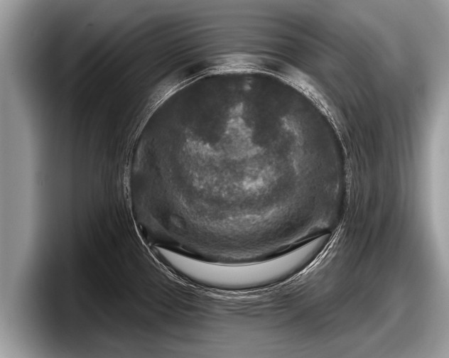 X0000097871337200803211306