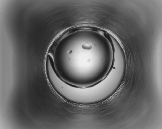 X0000097871341200803211307