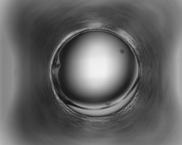 X0000097871342200803211307