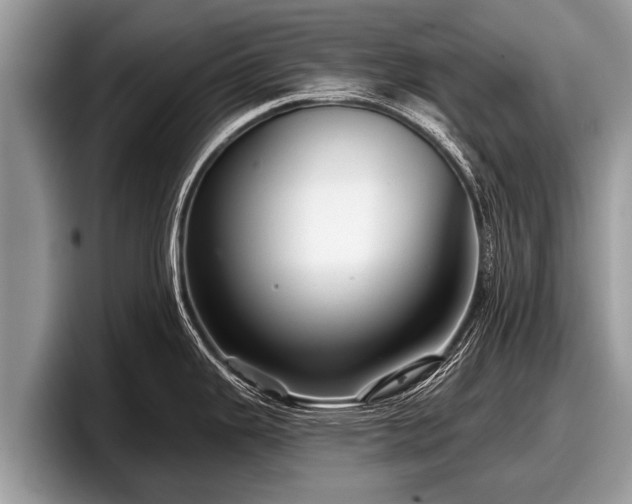 X0000097871343200803211307