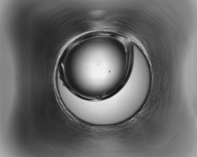 X0000097871344200803211307