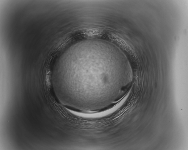 X0000097871346200803211306