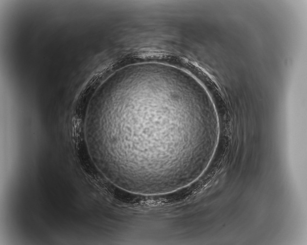 X0000097871351200803211306