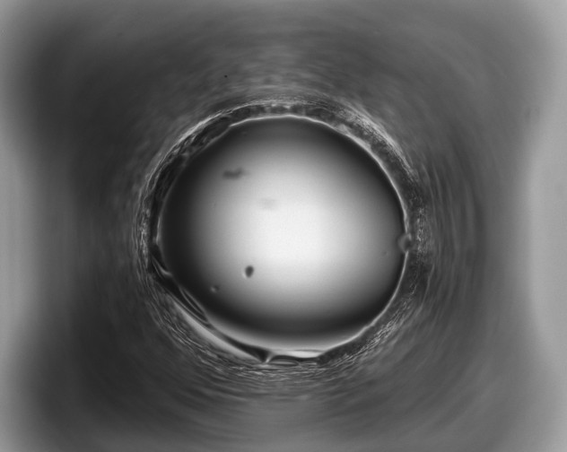 X0000097871352200803211306