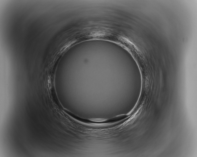 X0000097871353200803211306