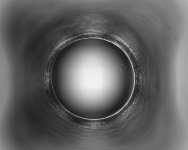X0000097871355200803211306