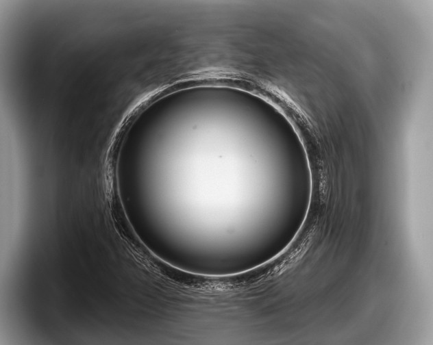 X0000097871358200803211306