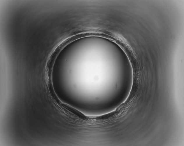 X0000097871360200803211306