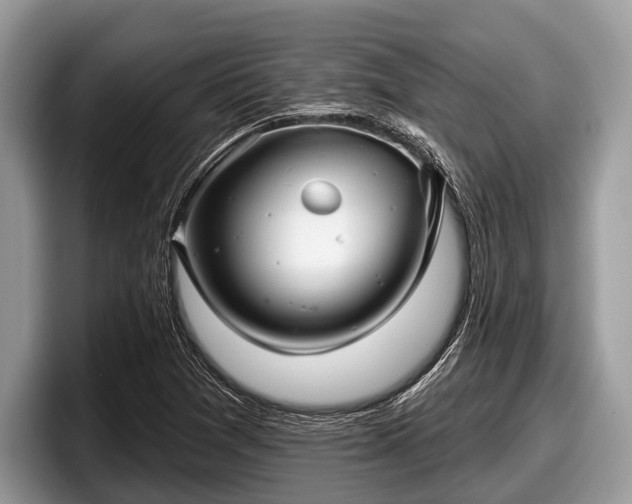 X0000097871361200803211306