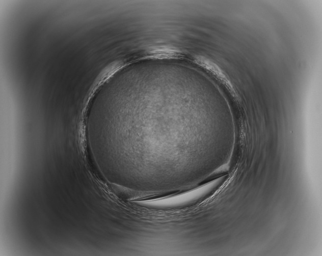 X0000097871362200803211306