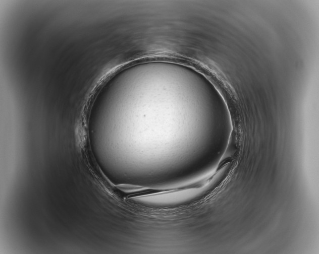 X0000097871363200803211306