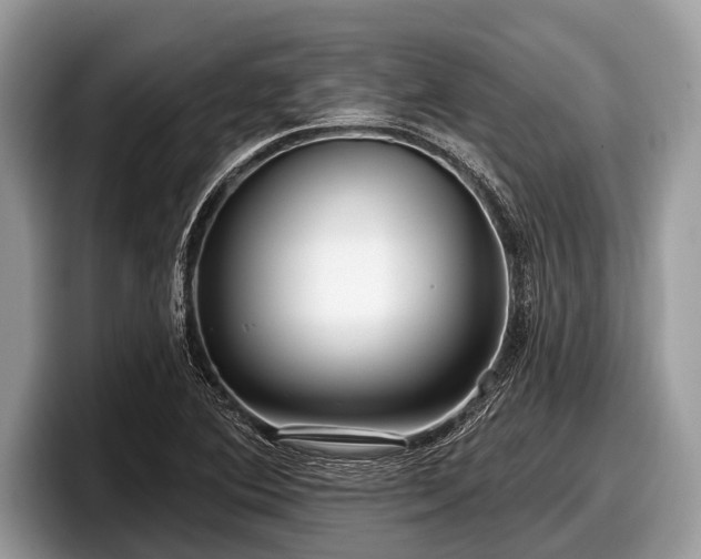 X0000097871364200803211306